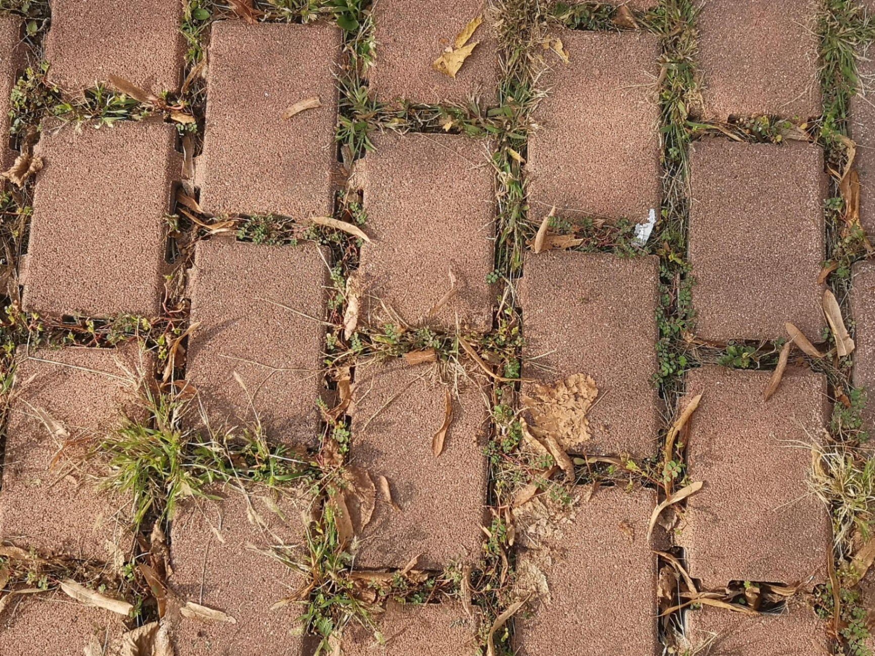 Interlocking paver repair and restoration project