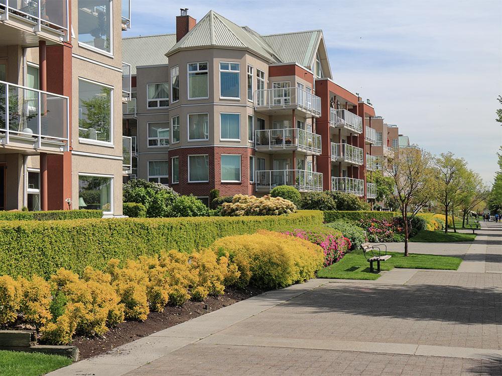 Manicured hedges and flowering shrubs lining a condominium walkway
